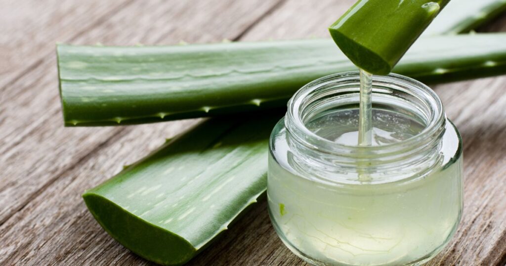 É seguro consumir Aloe Vera todos os dias